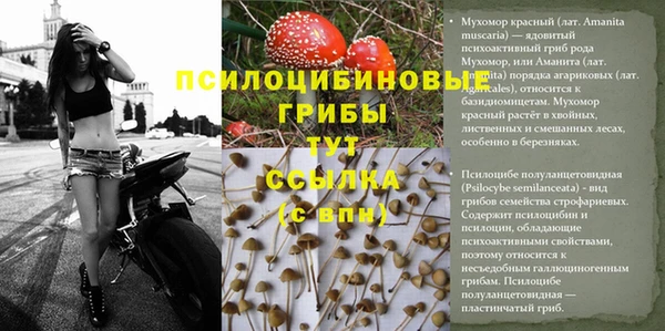 ECSTASY Абдулино