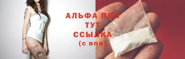 стафф Гусев