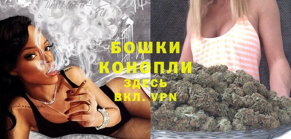 прущий лед Абаза