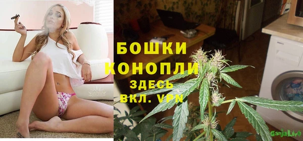 прущий лед Абаза