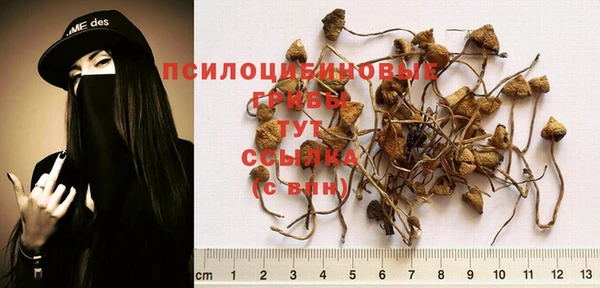 эйфоретик Алексин